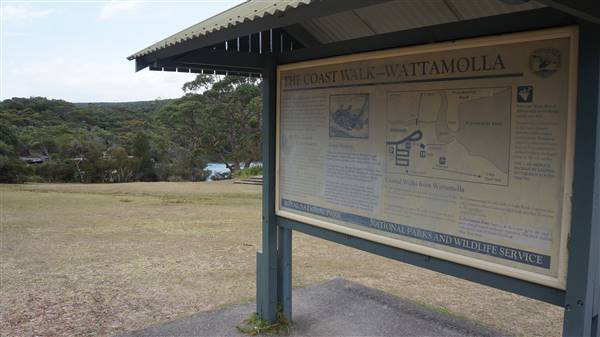 Wattamolla Beach (1/07/2016 - Credits: Mary Barltrop)