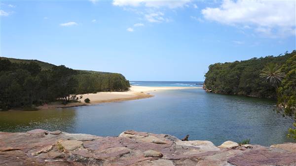 Wattamolla Beach (1/07/2016 - Credits: Mary Barltrop)