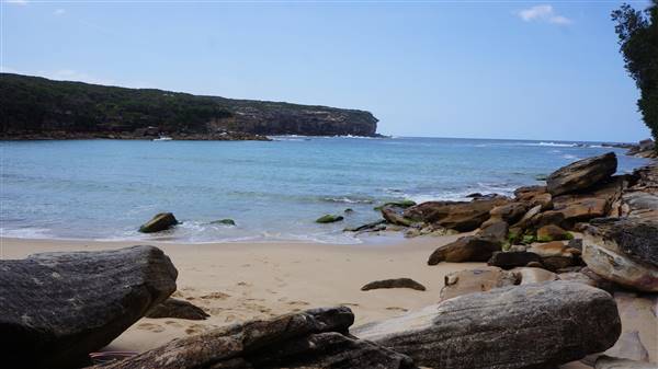 Wattamolla Beach (1/07/2016 - Credits: Mary Barltrop)