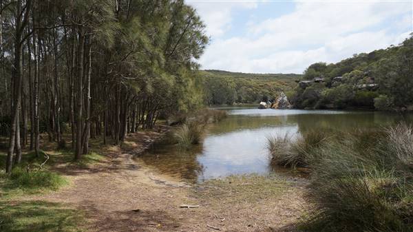 Wattamolla Beach (1/07/2016 - Credits: Mary Barltrop)