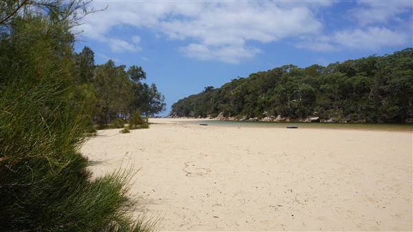 Wattamolla Beach (1/07/2016 - Credits: Mary Barltrop)