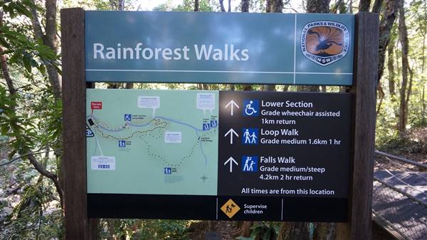 Minnamurra Rainforest Walk - Budderoo National Park (2/07/2016 - Credits: Mary Barltrop)