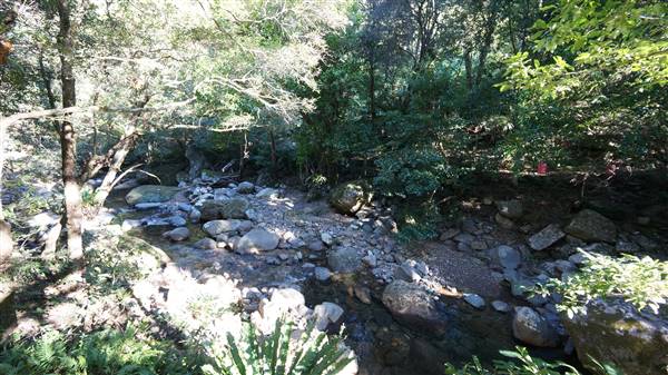 Minnamurra Rainforest Walk - Budderoo National Park (2/07/2016 - Credits: Mary Barltrop)