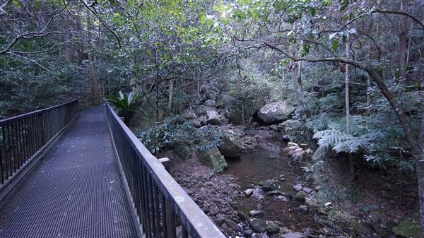 Minnamurra Rainforest Walk - Budderoo National Park (2/07/2016 - Credits: Mary Barltrop)
