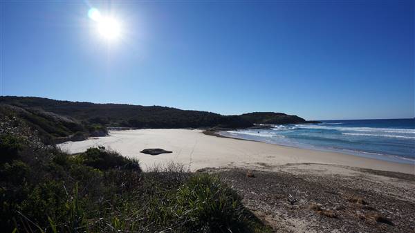 Frazer Beach Campground - Munmorah State Conservation Area (4/07/2016 - Credits: Mary Barltrop)