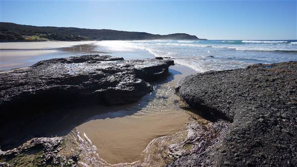 Frazer Beach Campground - Munmorah State Conservation Area (4/07/2016 - Credits: Mary Barltrop)