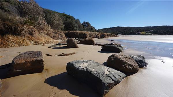 Frazer Beach Campground - Munmorah State Conservation Area (4/07/2016 - Credits: Mary Barltrop)