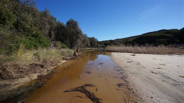 Frazer Beach Campground - Munmorah State Conservation Area (4/07/2016 - Credits: Mary Barltrop)