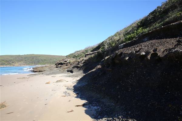 Munmorah State Conservation Area - Snapper Pt and Bongon Beach (4/07/2016)