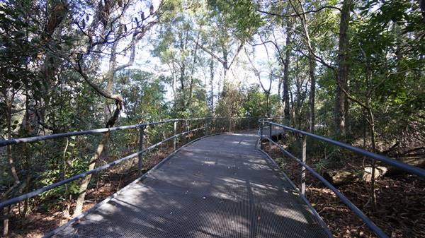 Fitzroy Falls & Twin Falls - Morton National Park (4/07/2016 - Credits: Mary Barltrop)