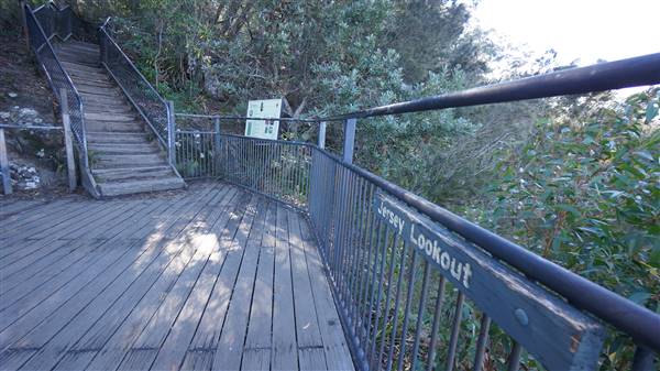 Fitzroy Falls & Twin Falls - Morton National Park (4/07/2016 - Credits: Mary Barltrop)