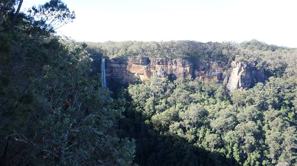 Fitzroy Falls & Twin Falls - Morton National Park (4/07/2016 - Credits: Mary Barltrop)