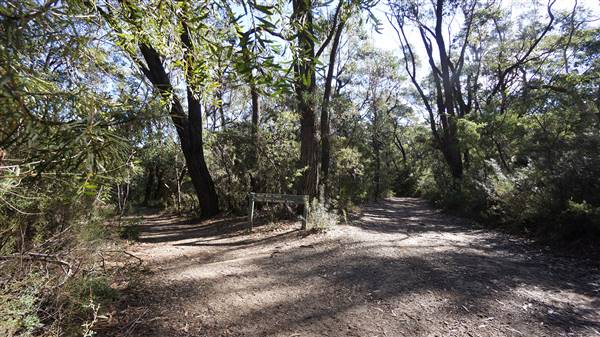 Fitzroy Falls & Twin Falls - Morton National Park (4/07/2016 - Credits: Mary Barltrop)