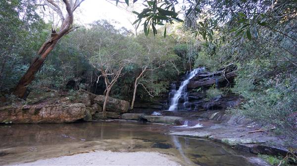 Somersby Falls picnic area - Brisbane Water National Park (4/07/2016 - Credits: Mary Barltrop)