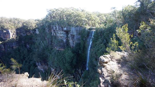 Fitzroy Falls & Twin Falls - Morton National Park (4/07/2016 - Credits: Mary Barltrop)