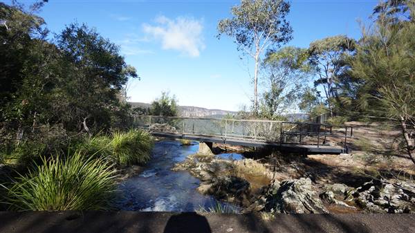 Fitzroy Falls & Twin Falls - Morton National Park (4/07/2016 - Credits: Mary Barltrop)