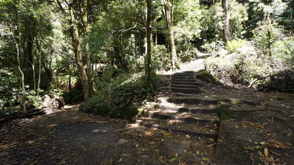 Katoomba Falls Reserve Walk & Tourist Park (5/07/2016 - Credits: Mary Barltrop)