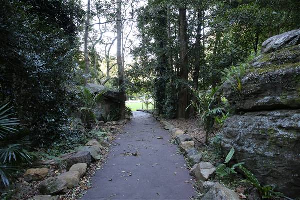 Mount Keira Scout Camp File 1 (5/07/2016)