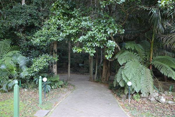 Mount Keira Scout Camp File 1 (5/07/2016)