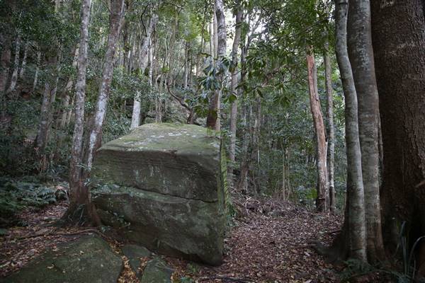 Mount Keira Scout Camp File 1 (5/07/2016)