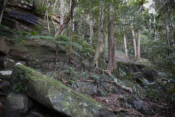 Mount Keira Scout Camp File 1 (5/07/2016)