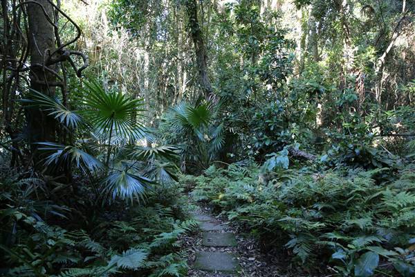 Mount Keira Scout Camp File 1 (5/07/2016)