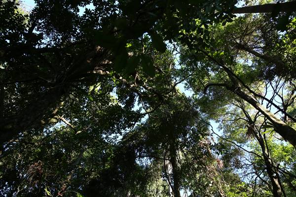 Mount Keira Scout Camp File 1 (5/07/2016)
