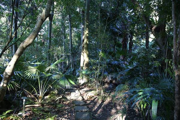 Mount Keira Scout Camp File 1 (5/07/2016)