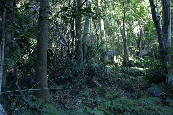 Mount Keira Scout Camp File 1 (5/07/2016)