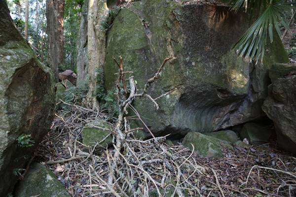 Mount Keira Scout Camp File 1 (5/07/2016)