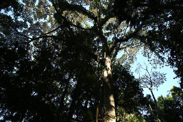 Mount Keira Scout Camp File 1 (5/07/2016)