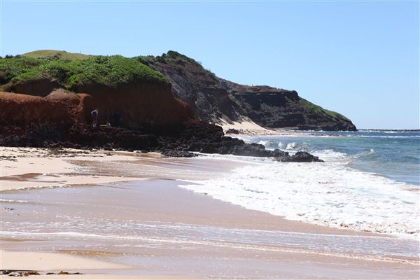 Long Reef Beach (15/10/2016 - Credits: John Harris)