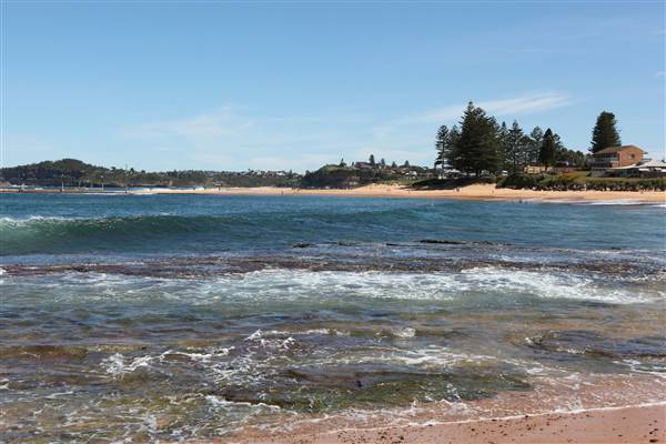 Mona Vale Beach (16/10/2016 - Credits: John Harris)