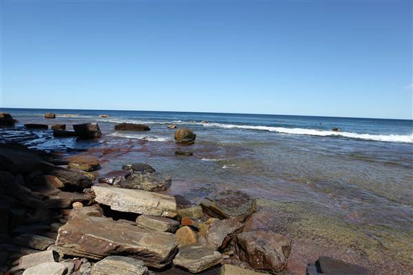 Mona Vale Beach (16/10/2016 - Credits: John Harris)