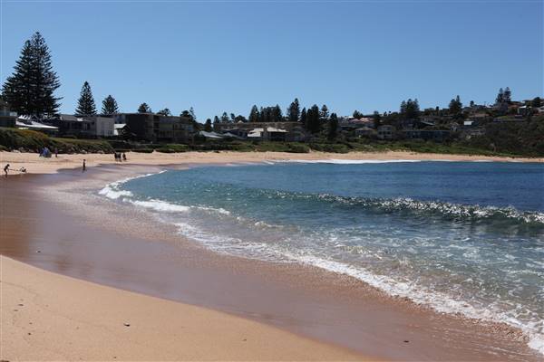 Mona Vale Beach (16/10/2016 - Credits: John Harris)