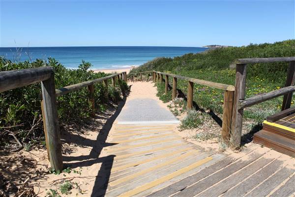Narrabeen Beach (16/10/2016 - Credits: John Harris)