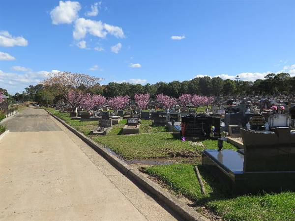 Rookwood Cemetery (10/11/2016 - Credits: Peter Hicks)