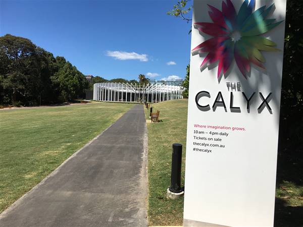 The Calyx - Royal Botanic Garden Sydney (6/11/2016 - Credits: Mechele Axford)
