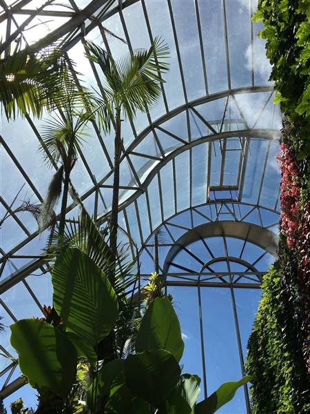 The Calyx - Royal Botanic Garden Sydney (11/11/2016)