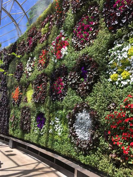 The Calyx - Royal Botanic Garden Sydney (11/11/2016)