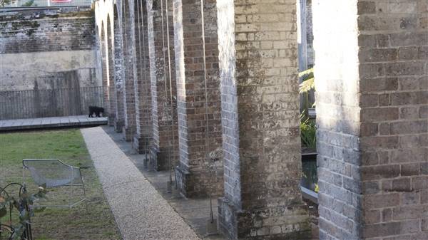 Paddington Reservoir Gardens (5/08/2015 - Credits: Shannon Wheeler)