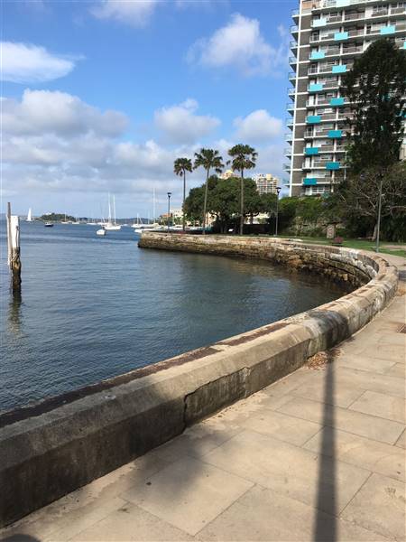 Beare Park Elizabeth Bay Marina (30/11/2016 - Credits: Mechele Axford)