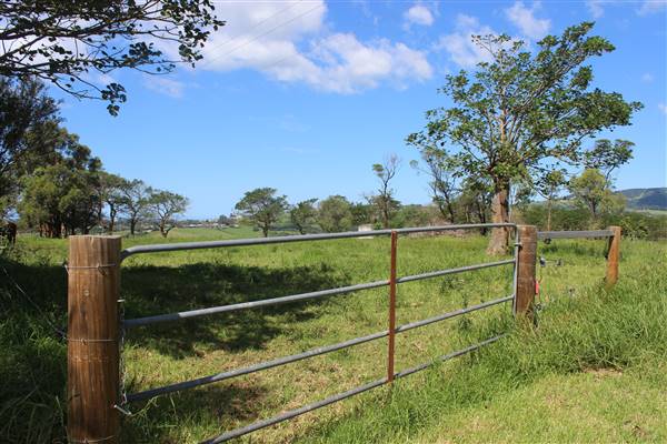 Rosebank Farm (1/04/2017)