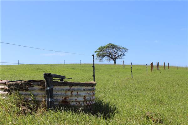 Rosebank Farm (1/04/2017 - Credits: Diana McLaren)
