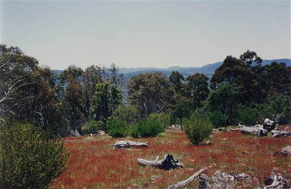 Snowy Mountains region (12/07/2017 8:28:00 PM)