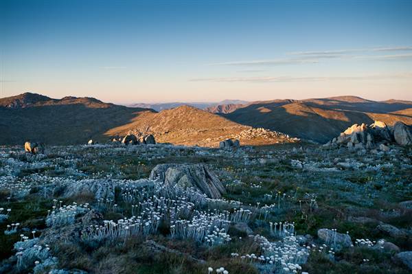 Snowy Mountains region (12/07/2017 8:28:05 PM)