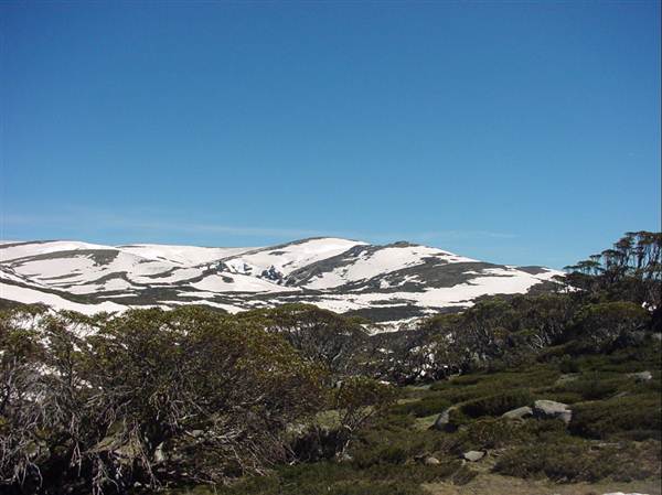 Snowy Mountains region (12/07/2017 8:28:19 PM)
