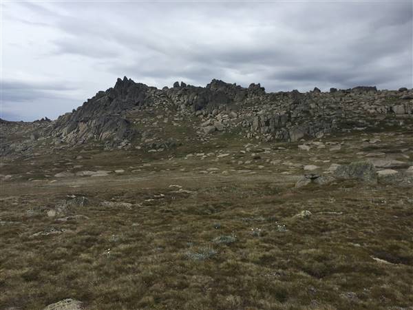 Snowy Mountains region (12/07/2017)
