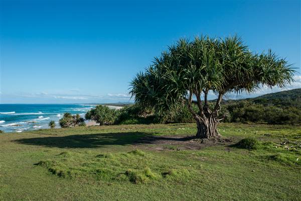 Hastings Point (26/07/2017)