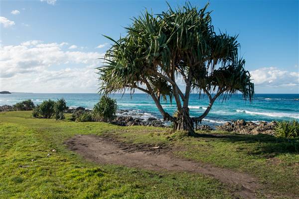 Hastings Point (26/07/2017)
